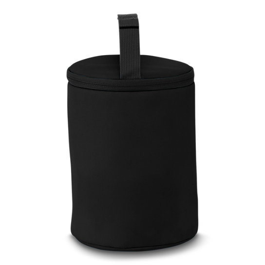 COLLAPSIBLE LUNCH COOLER