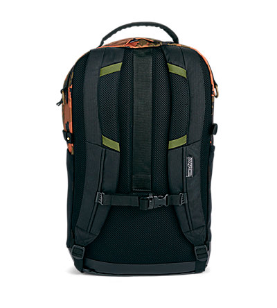 Gnarly Gnapsack 25 Travel Backpack | JanSport