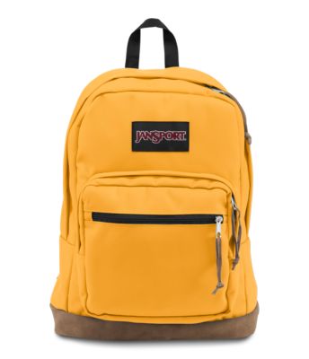 jansport red backpack with leather bottom