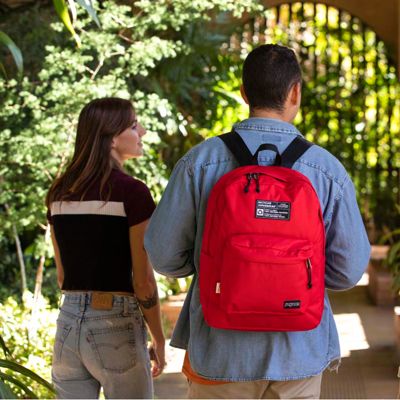 Pink Camo Cats Fabric Upcycle for the Jansport Superbreak 